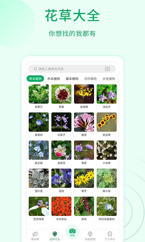 花草识别截图4