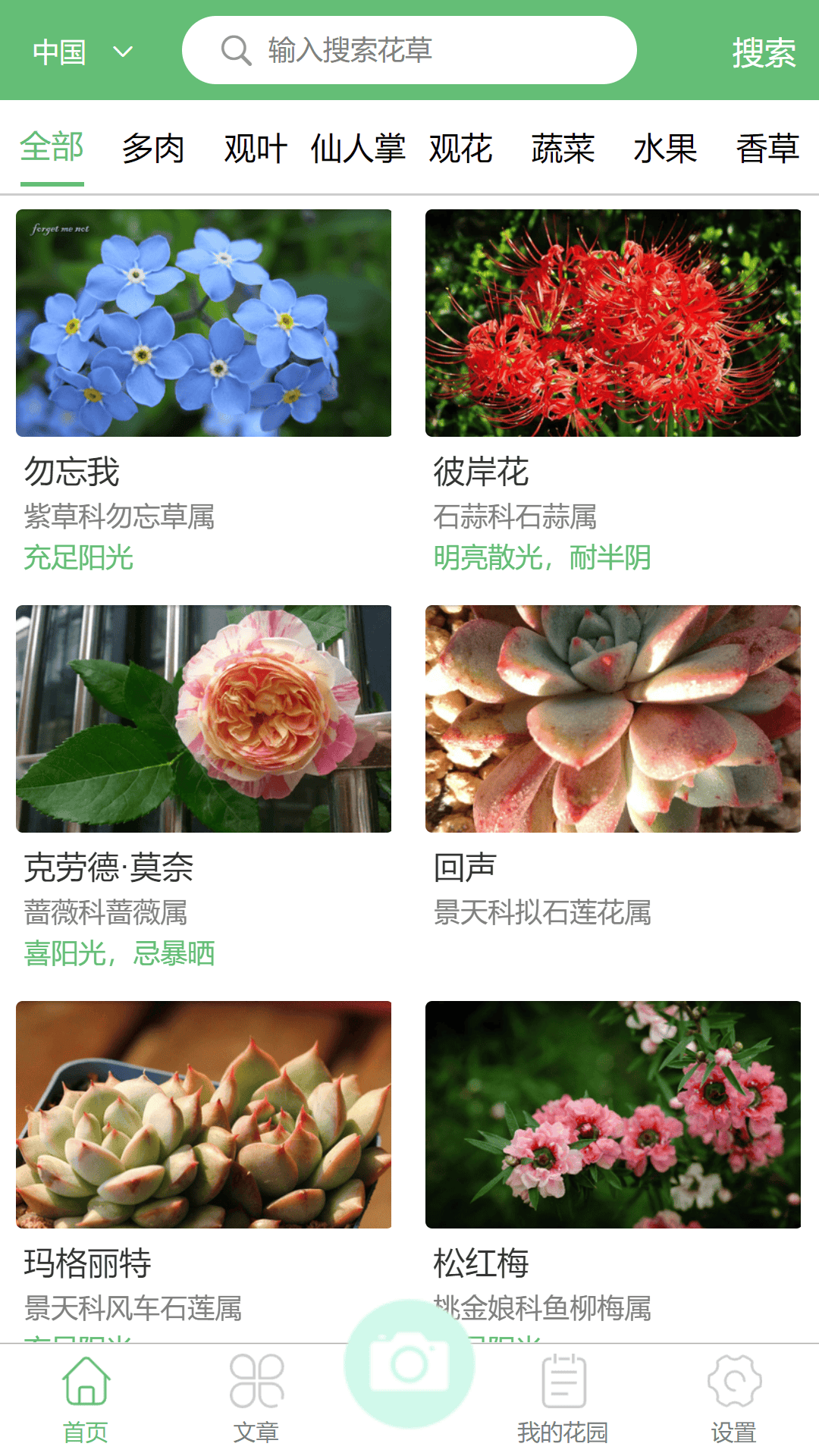 东篱花草截图1