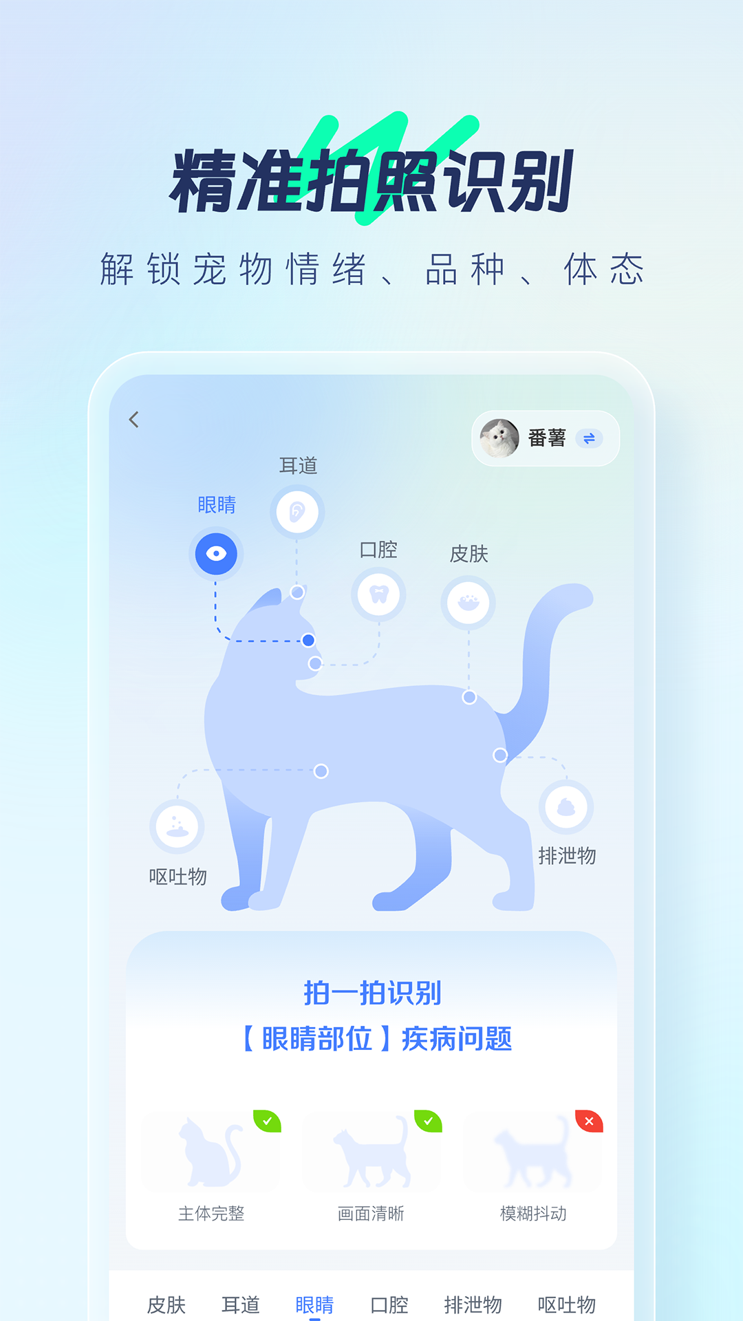 宠智灵v1.0.01截图4