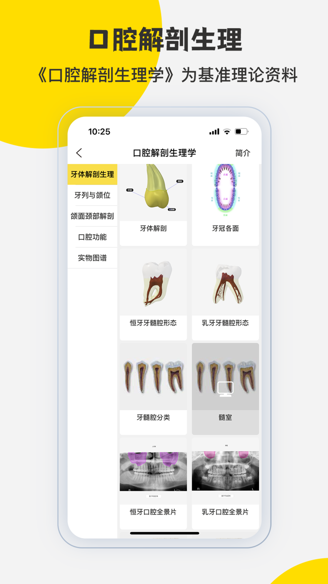 3DBody解剖截图5