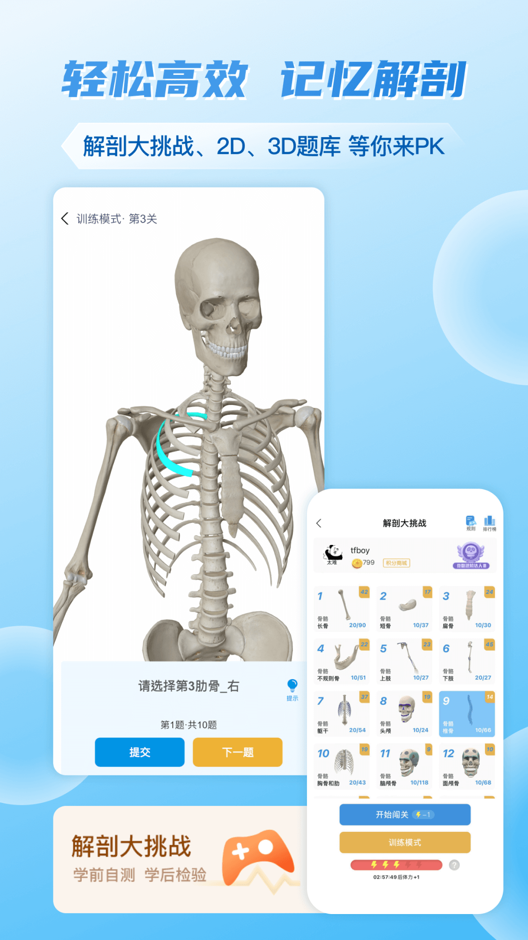 维萨里3D解剖截图5