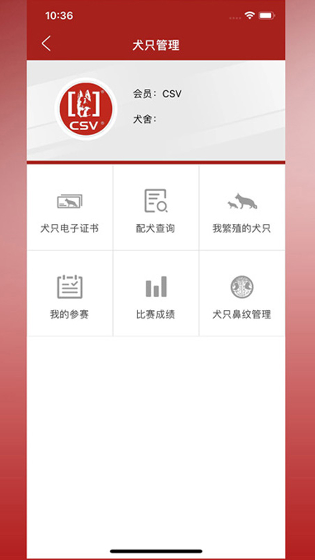 CSV截图4