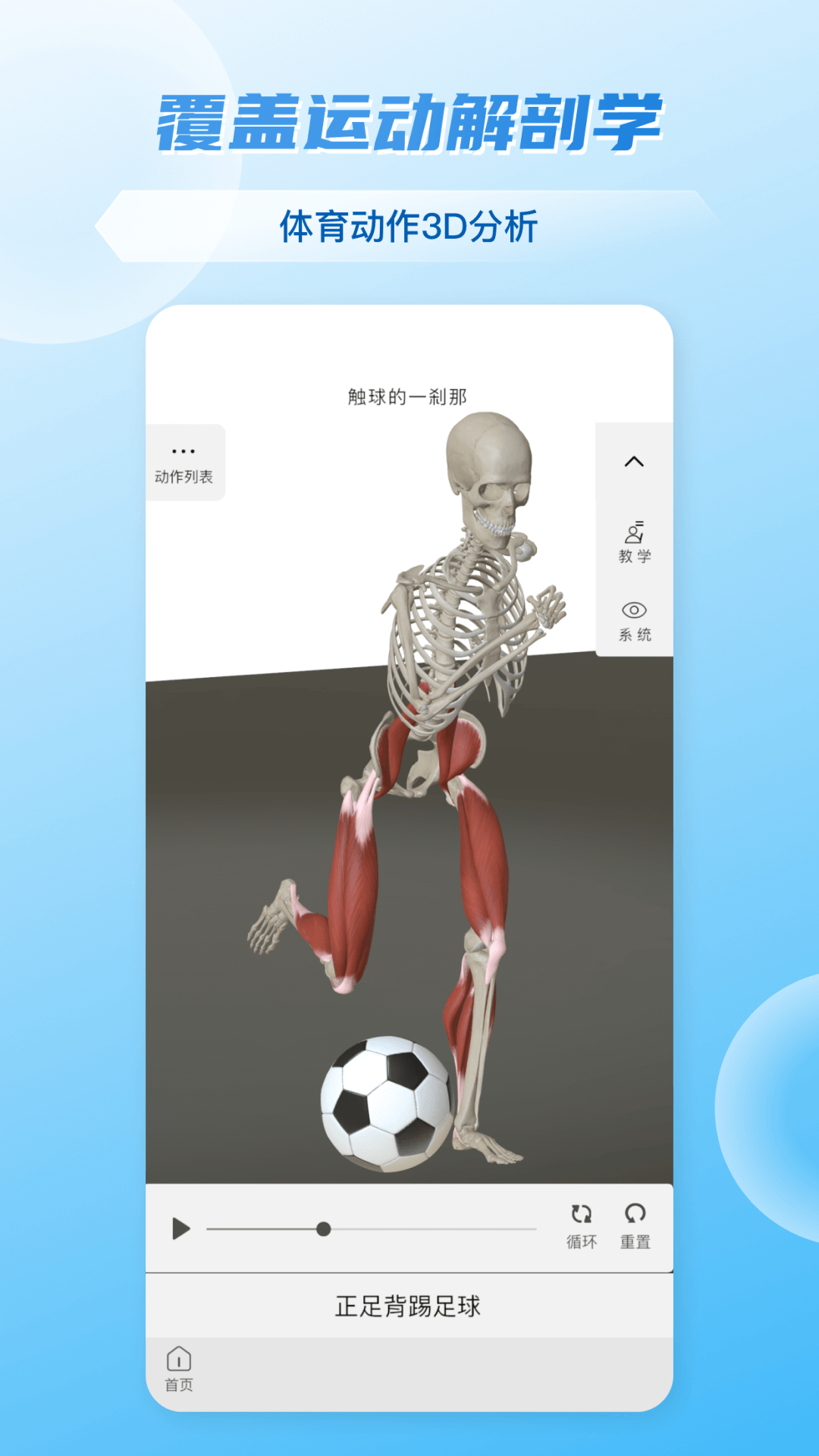 维萨里3D解剖截图4