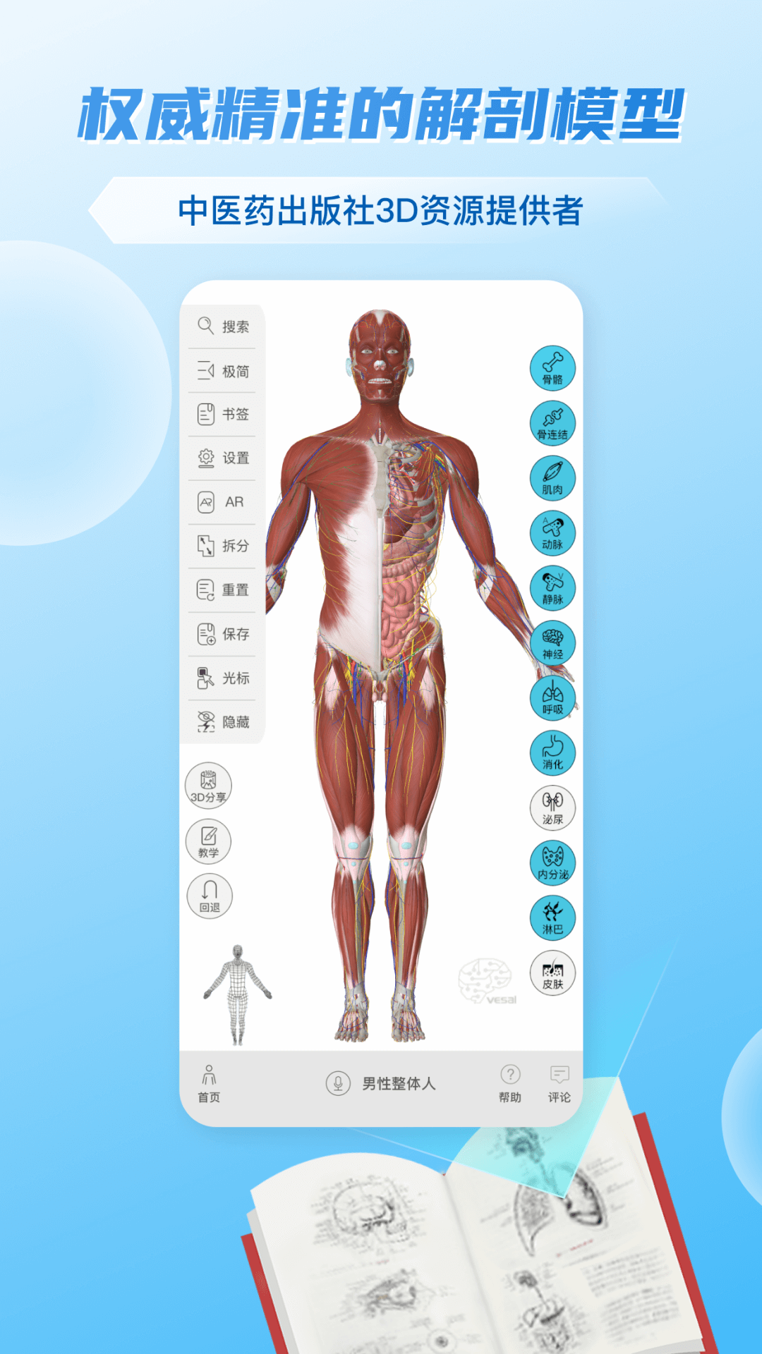 维萨里3D解剖截图2