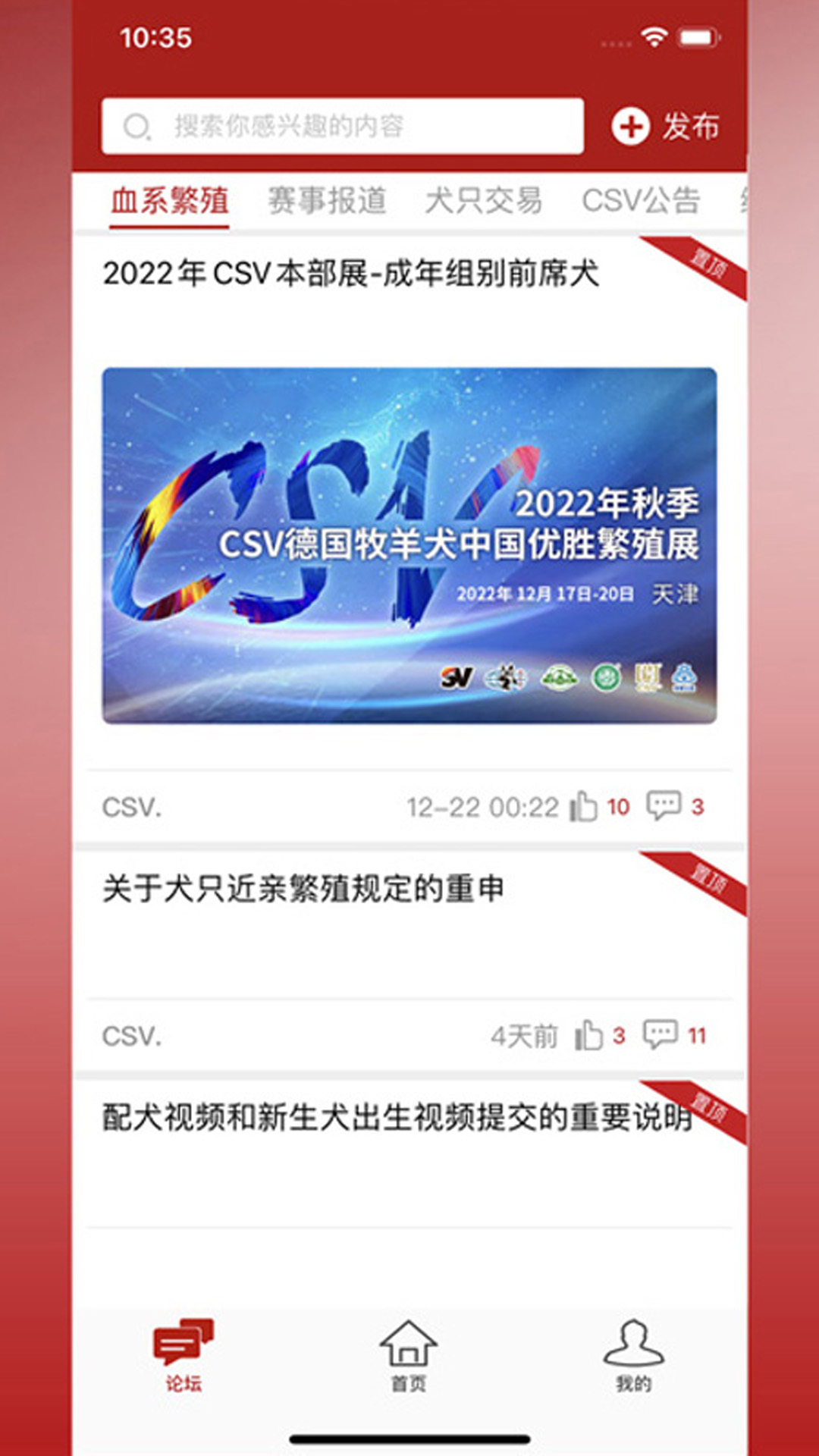 CSV截图1