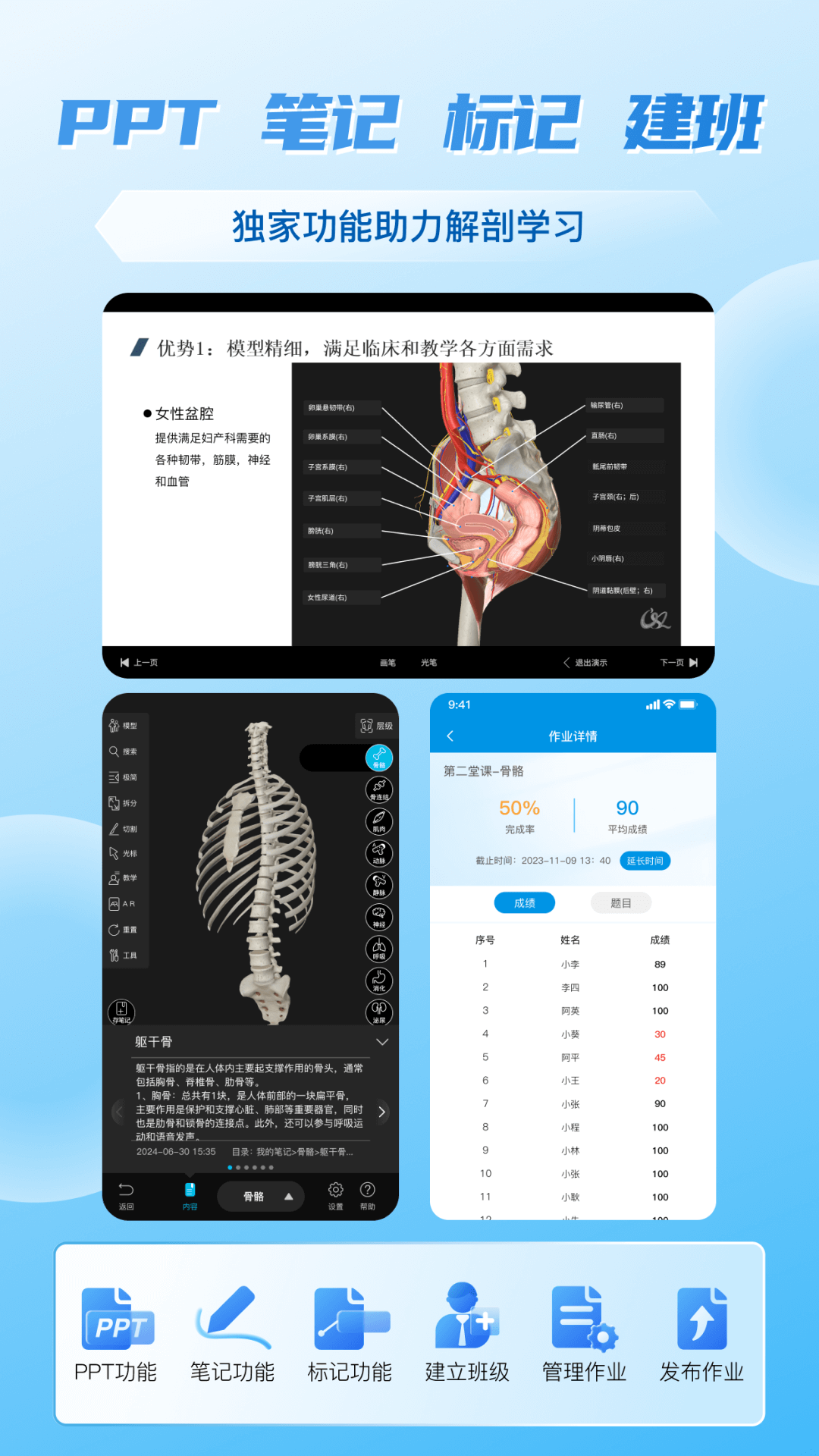 维萨里3D解剖截图1