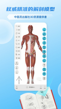 維薩里3D解剖截圖