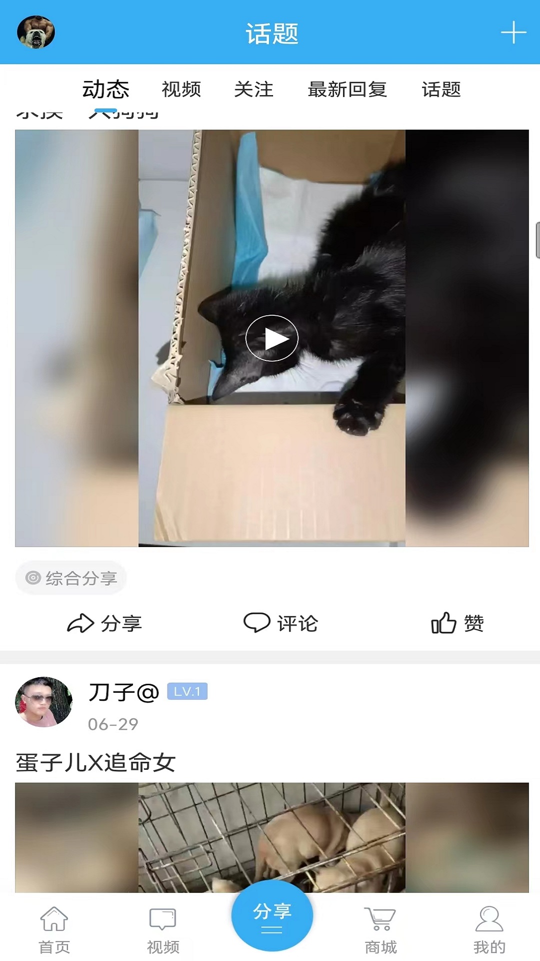 猛犬俱乐部截图4