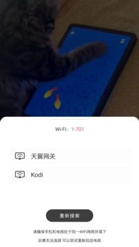 電視投屏播放器截圖