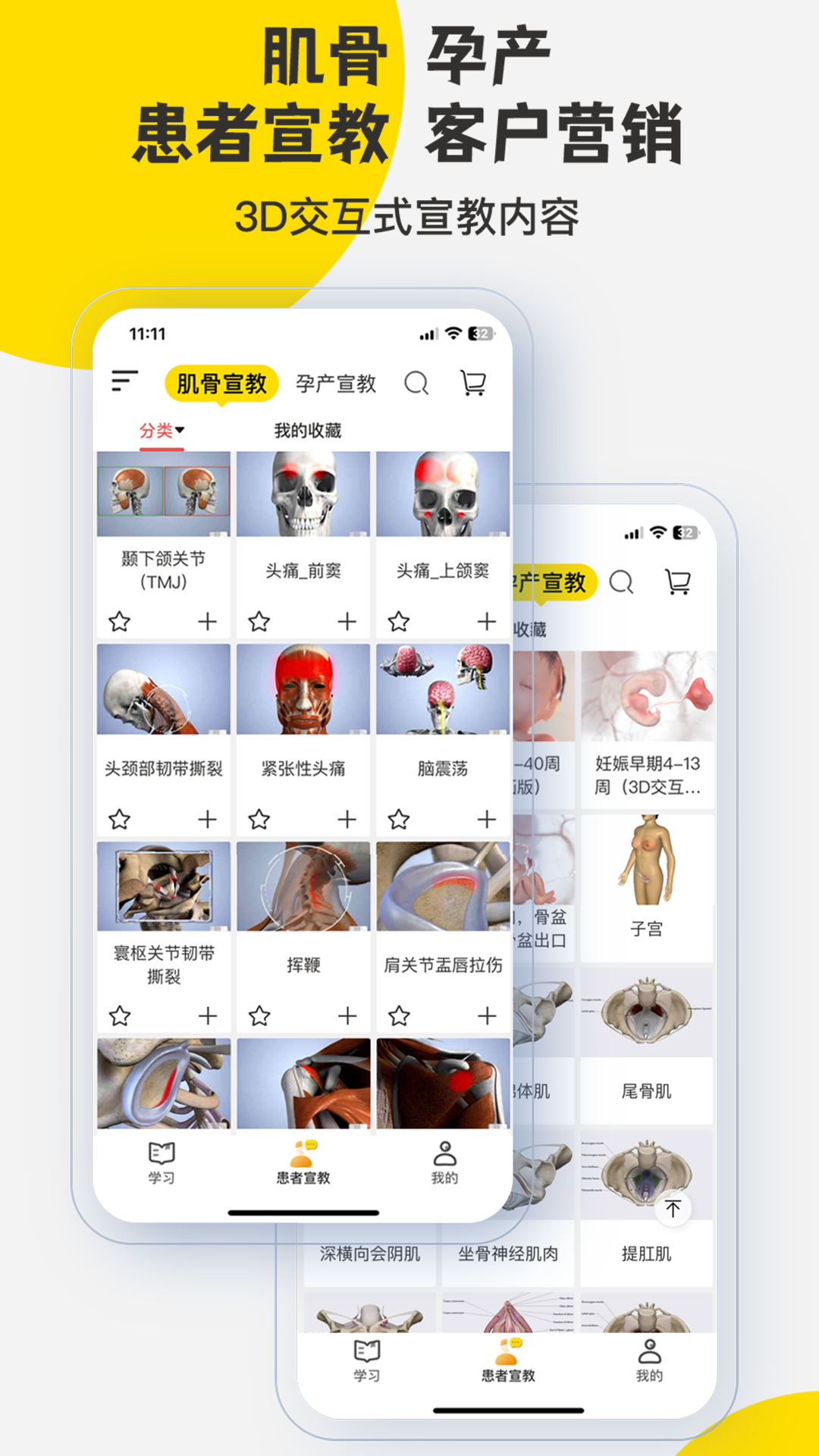 3DBody解剖v8.8.43截图4