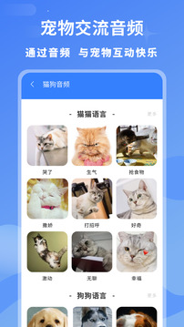 小白交流翻譯截圖