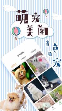 人貓翻譯交流器截圖