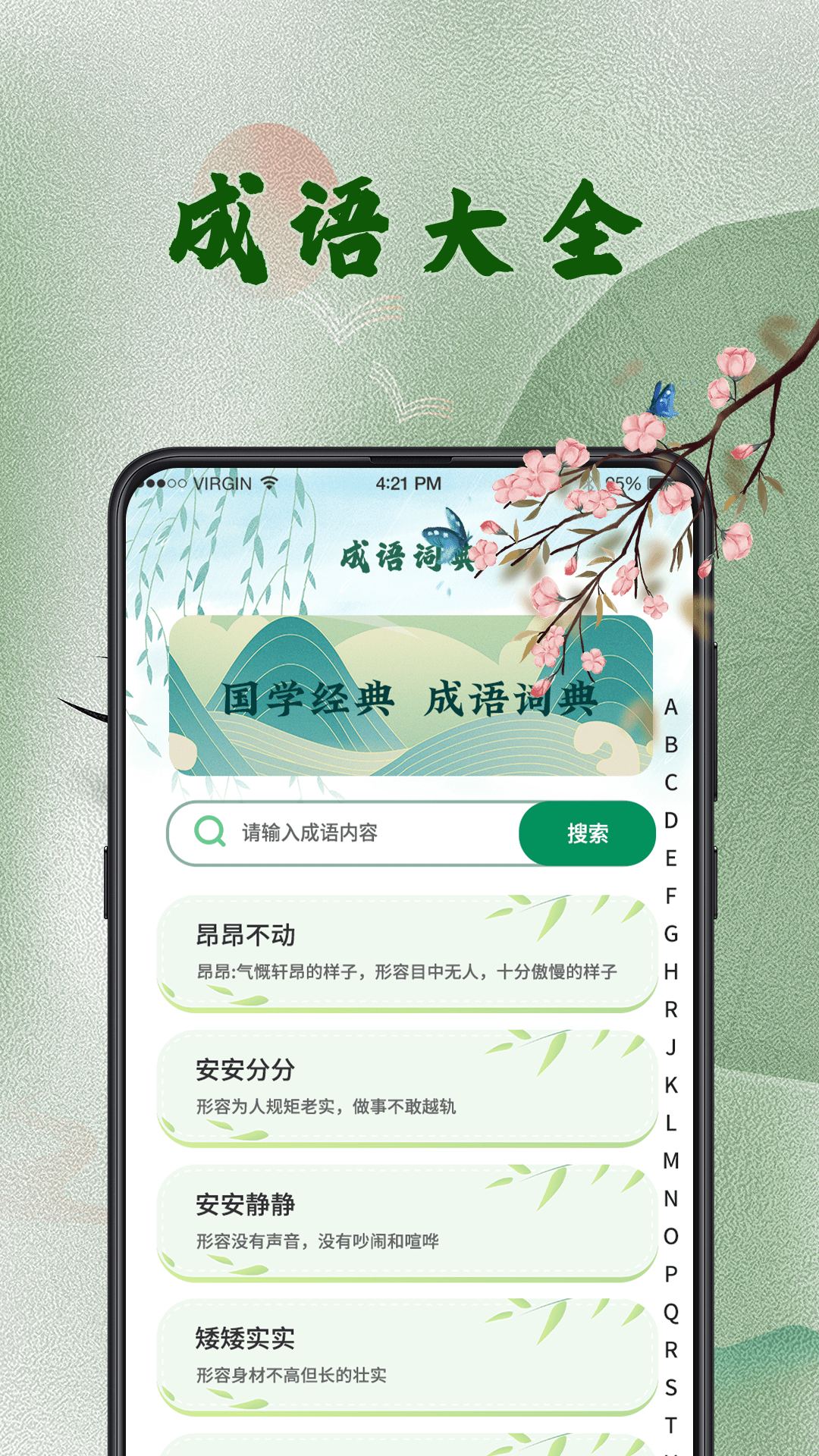 汉语字典截图2