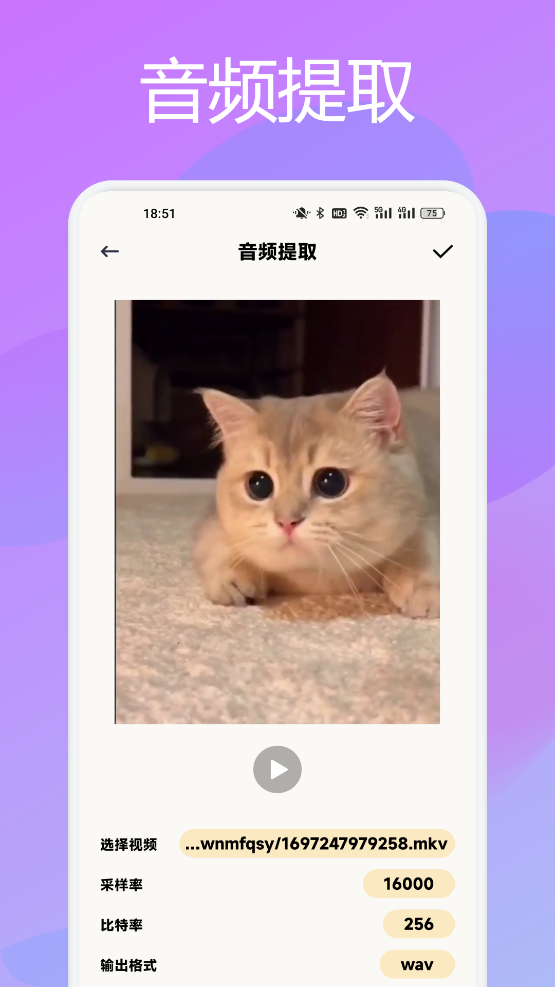 閃電格式轉換器截圖預覽