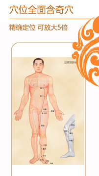 經(jīng)絡(luò)養(yǎng)生截圖
