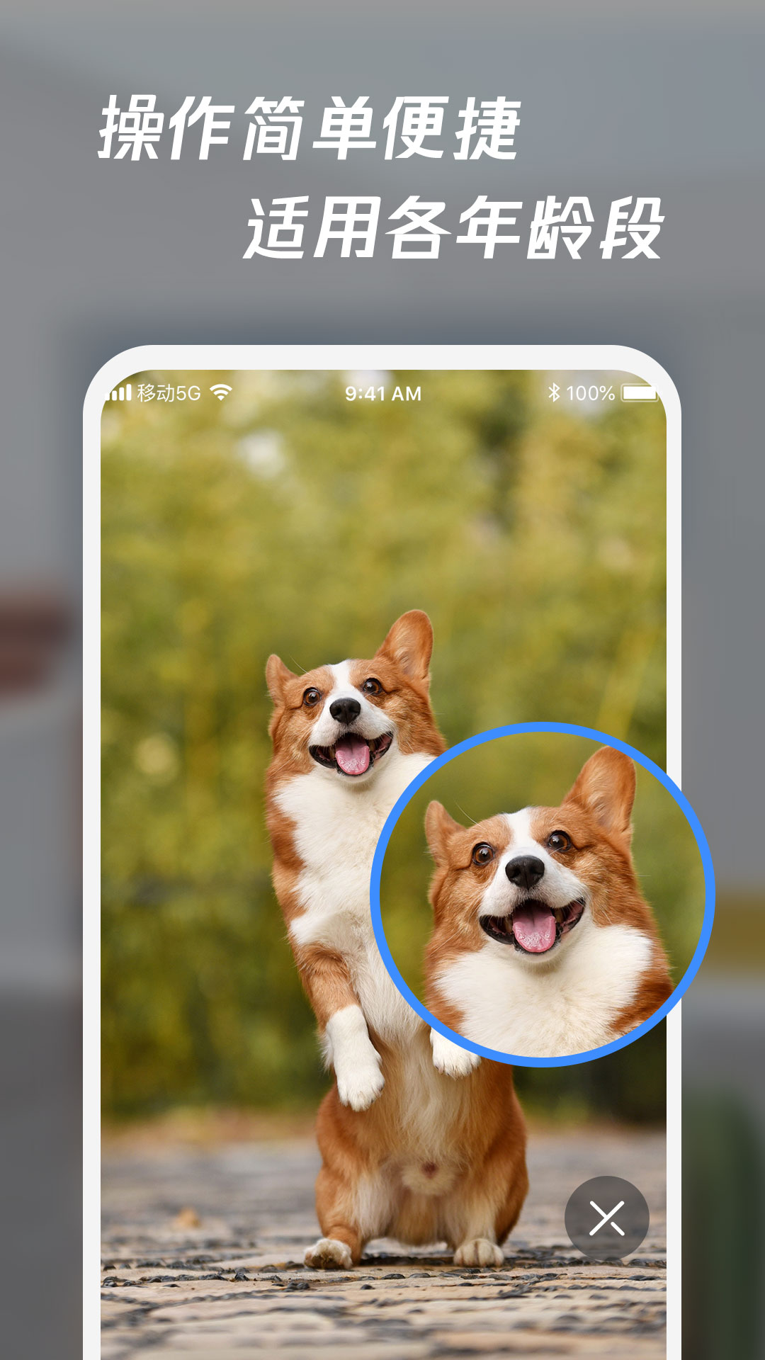 放大鏡高清版截圖預(yù)覽
