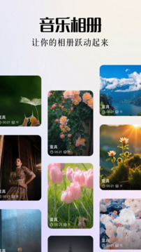 element截圖
