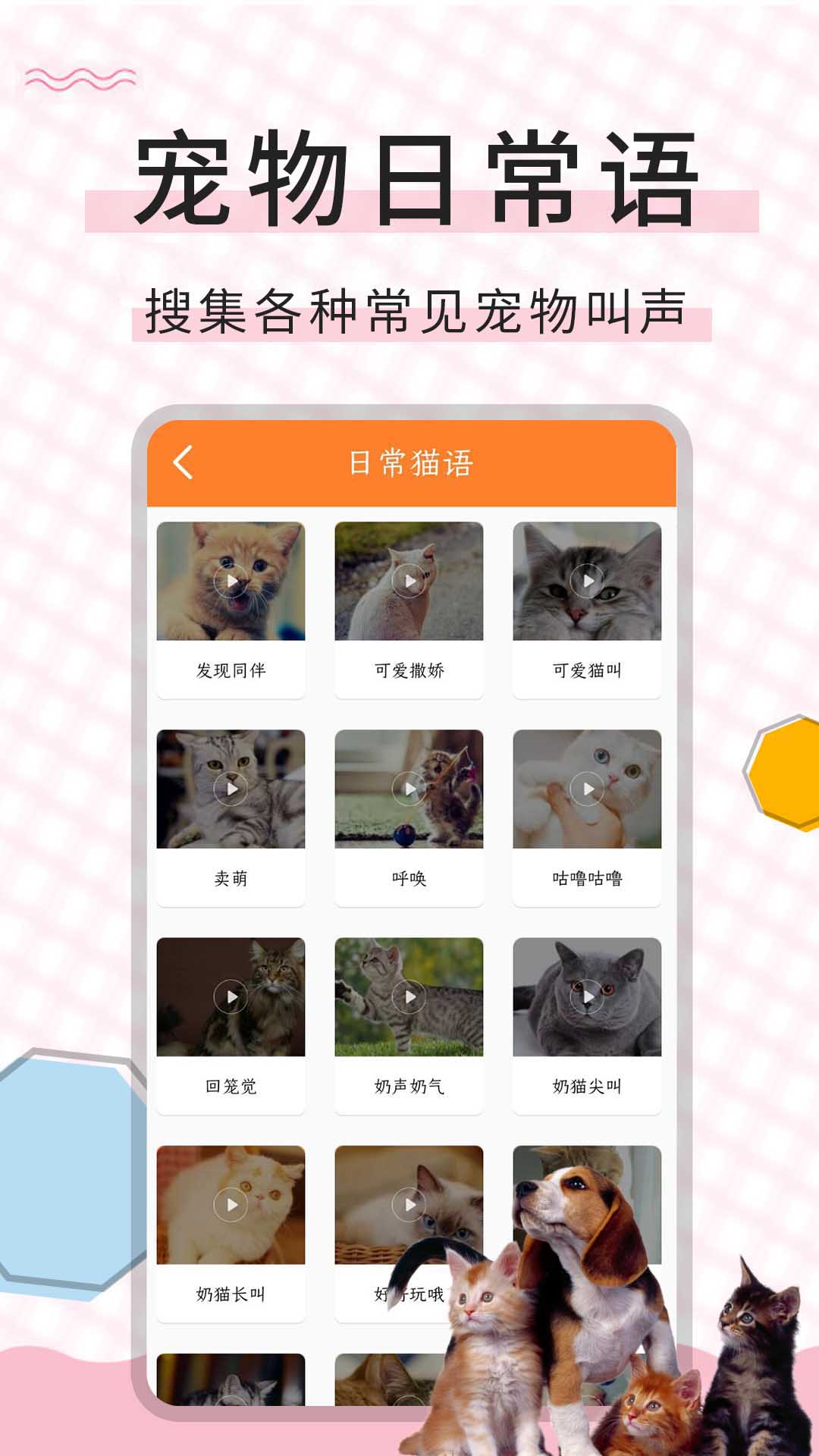 应用截图4预览