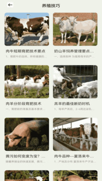 一定牛截圖