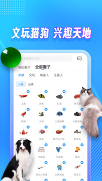 龍巔截圖