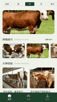 一定牛截圖