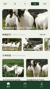一定牛截圖
