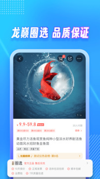 龍巔截圖