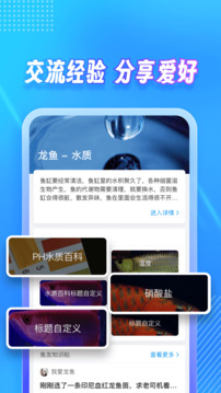 龍巔截圖