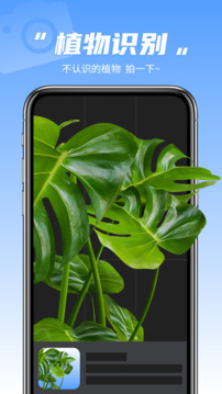 拍照識別植物截圖