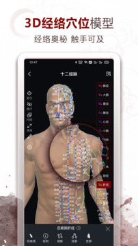 中醫(yī)經(jīng)絡(luò)穴位-3D針灸與中醫(yī)百科截圖