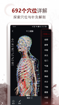 中醫(yī)經(jīng)絡(luò)穴位-3D針灸與中醫(yī)百科截圖