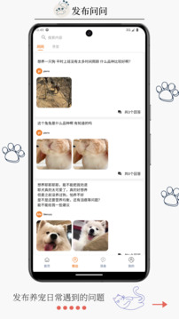寵物街截圖