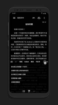 純純寫作截圖