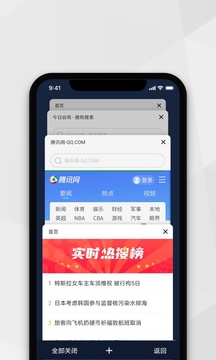 小樹瀏覽器截圖