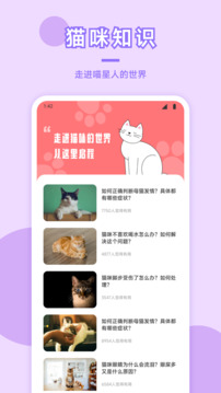 貓咪社區(qū)截圖