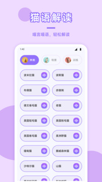 貓咪社區(qū)截圖
