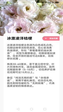 風(fēng)雅截圖