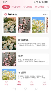 風(fēng)雅截圖
