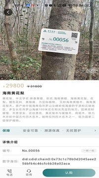 森林家園截圖
