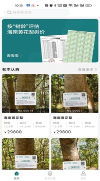 森林家園截圖