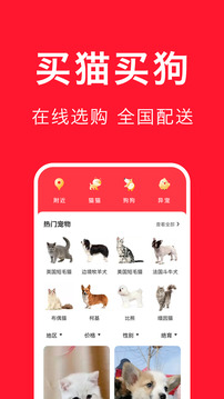 寵物寶截圖