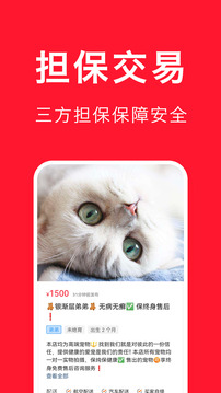 寵物寶截圖