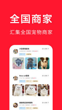 寵物寶截圖