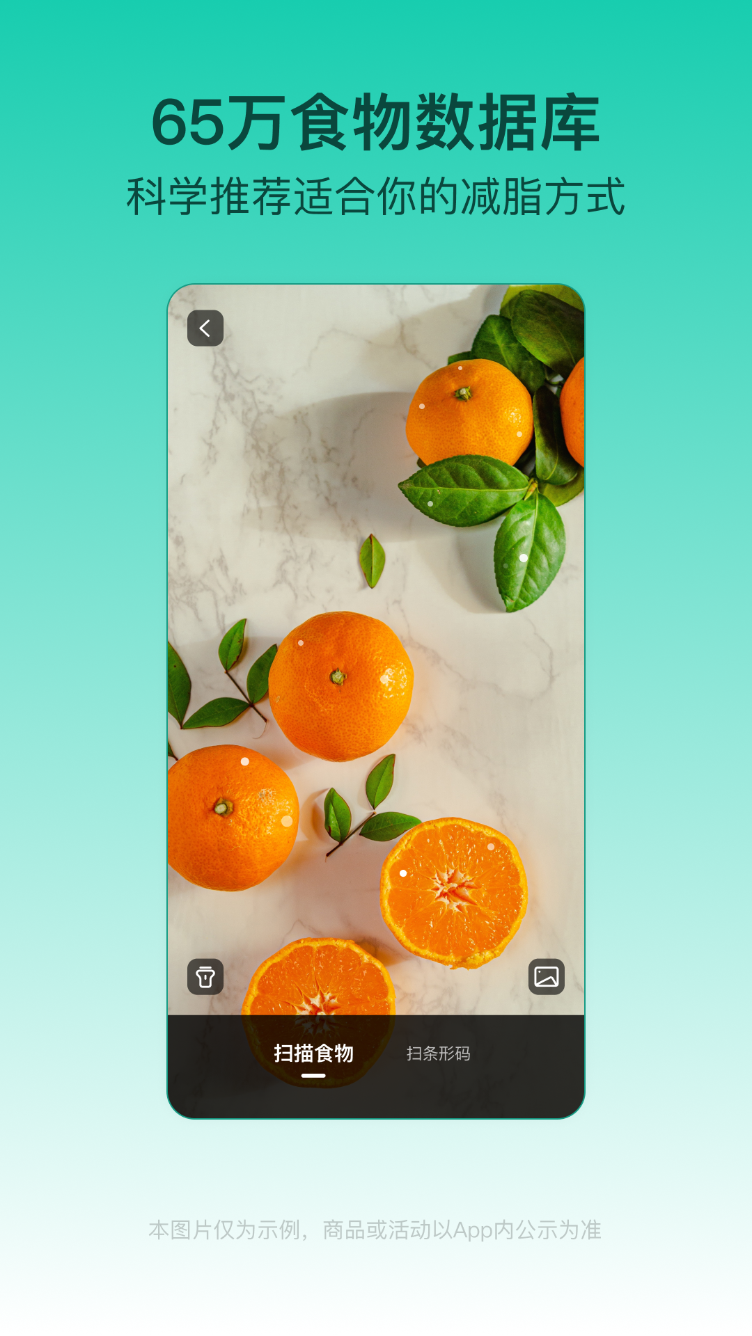 LEFU熱量減肥法截圖預覽