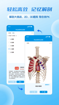 維薩里3D解剖截圖