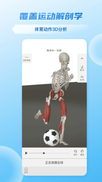 維薩里3D解剖截圖