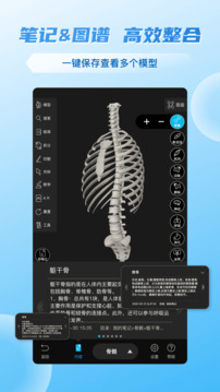 維薩里3D解剖截圖
