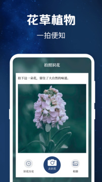 驗鈔工具截圖