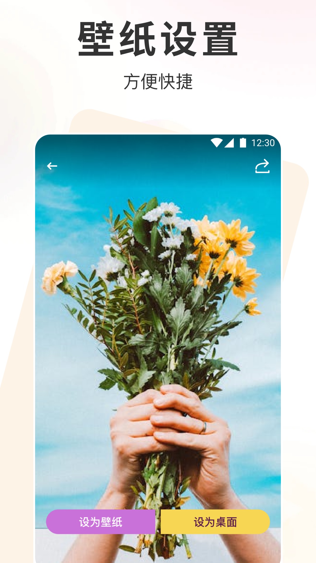 玫瑰壁紙截圖預(yù)覽