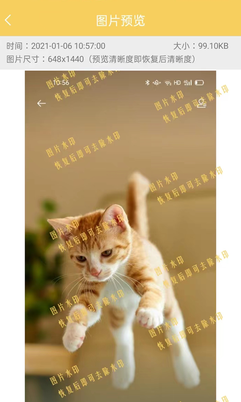 數(shù)據(jù)恢復工具截圖預覽